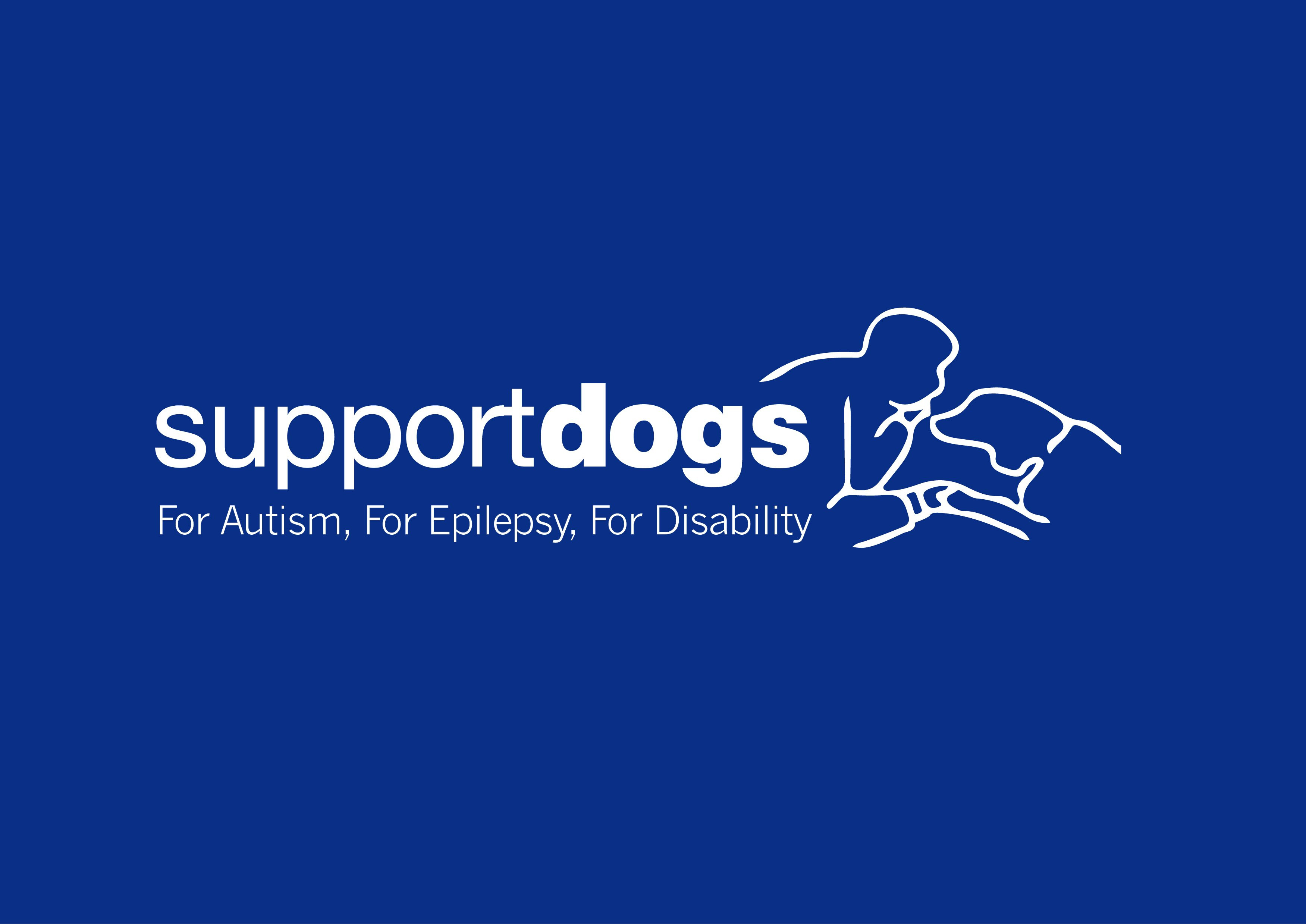 Support Dogs Wingwalk Challenge 